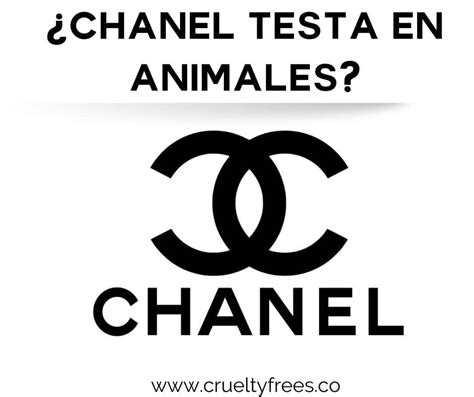 chanel testa en animales